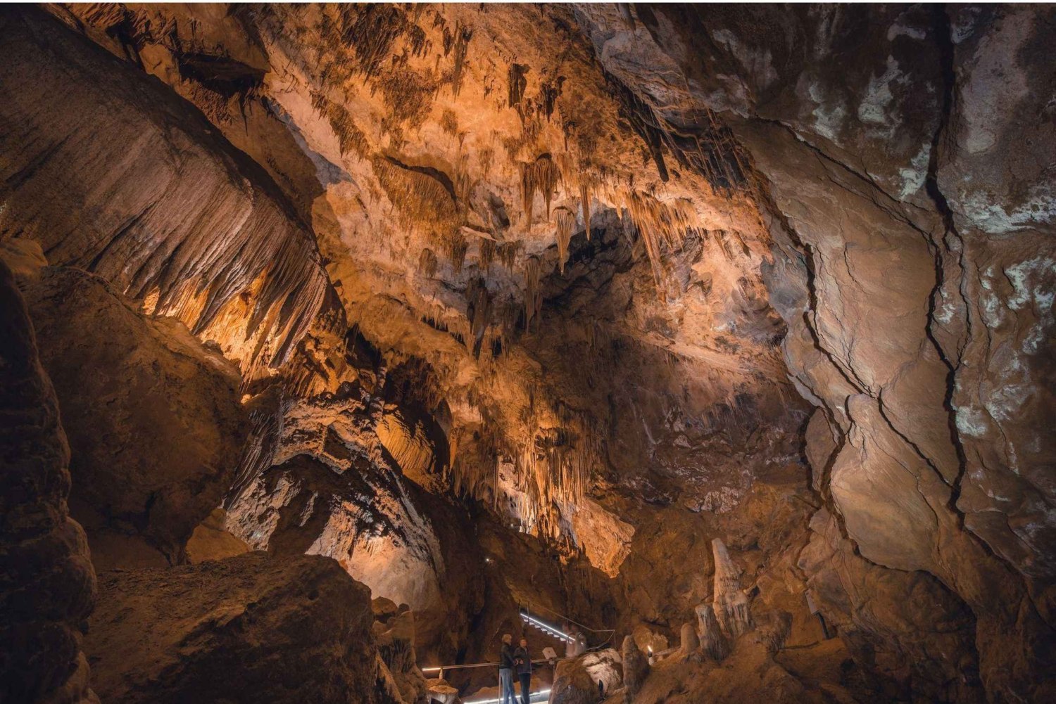 Hobart: Port Arthur, Bruny, Hastings e Tahune — viagem de 1 dia