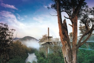 Hobart: Port Arthur, Bruny, Hastings e Tahune — viagem de 1 dia