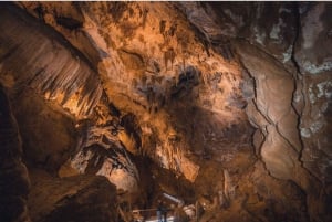 Hobart: Port Arthur, Bruny, Hastings e Tahune — viagem de 1 dia