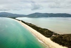 Hobart: Port Arthur, Bruny, Hastings e Tahune — viagem de 1 dia