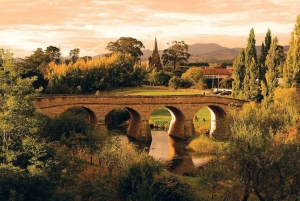 Hobart: Port Arthur, Bruny, Hastings e Tahune — viagem de 1 dia