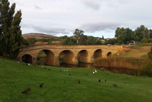 Hobart - en dag Dagstur till Port Arthur, Richmond och Tasmanska halvön