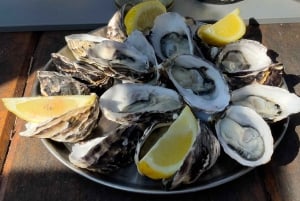 Hobart: Port Arthur, Tasman, Gin, Oysters, Chocolate & lunch