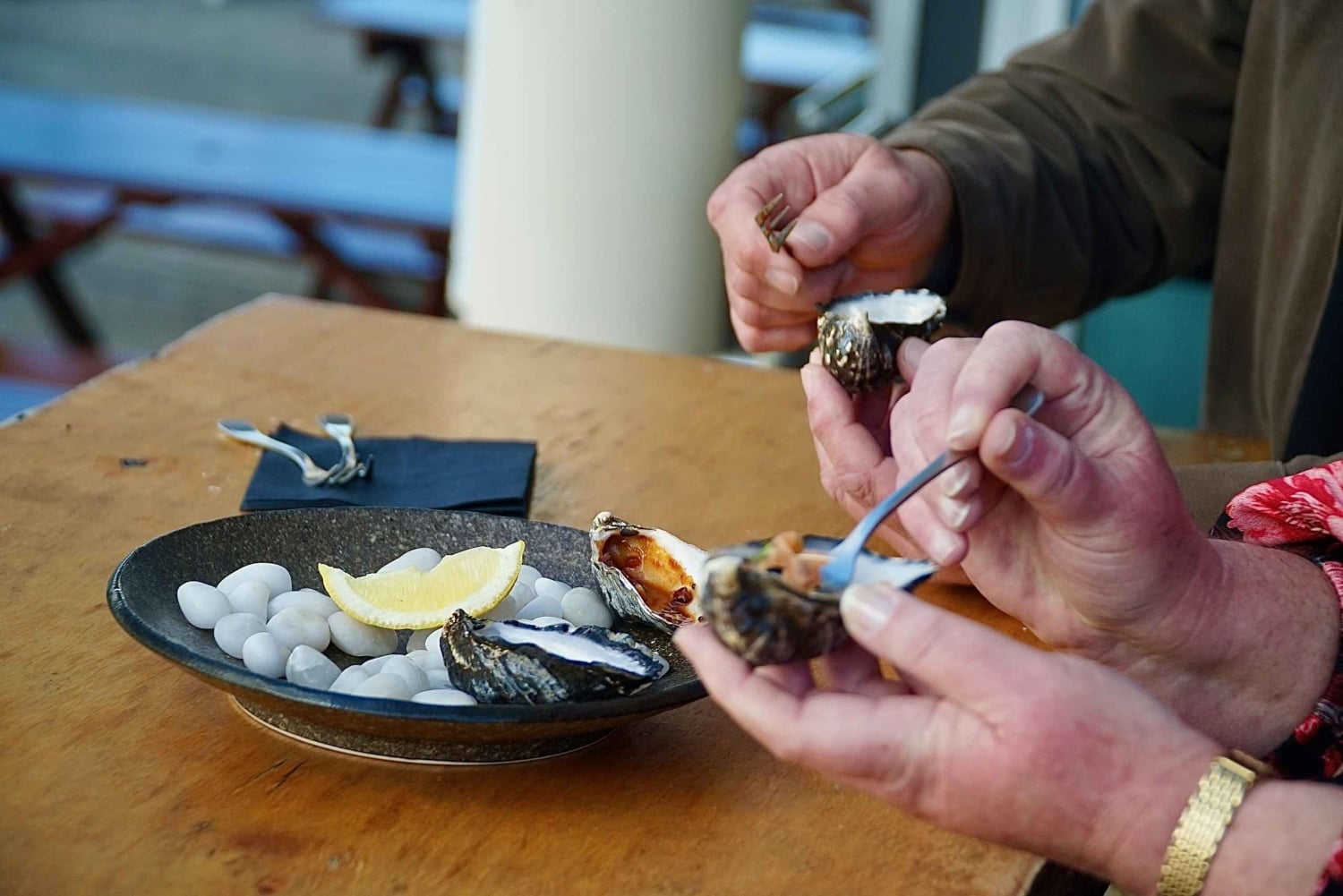 Hobart: Private City Tour with Mount Wellington & Tea