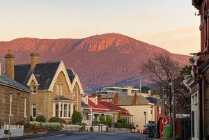 Hobart: Privat stadstur med Mount Wellington och te