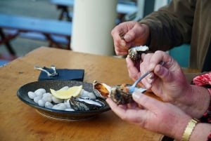 Hobart: Private City Tour with Mount Wellington & Tea