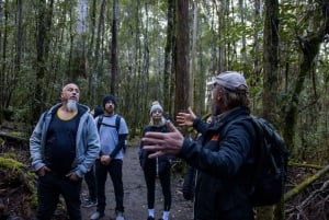 Excursión a la costa de Hobart: Parque Nacional y Fauna del Monte Field