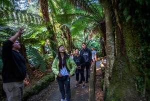 Excursión a la costa de Hobart: Parque Nacional y Fauna del Monte Field