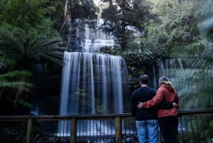 Excursión a la costa de Hobart: Parque Nacional y Fauna del Monte Field