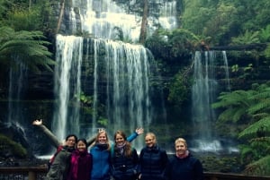 Excursión a la costa de Hobart: Parque Nacional y Fauna del Monte Field