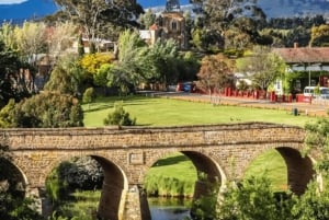 Hobart: Sights Wildlife Sanctuary ja lounas.
