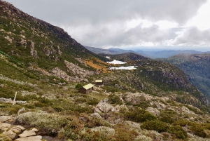 Hobart: Tarn Shelf Mount Field National Park Day Hike