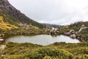 Hobart: Tarn Shelf Mount Field National Park Day Hike
