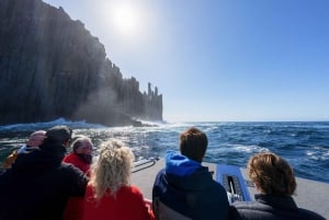 Hobart to Port Arthur: Cape Raoul Wilderness Cruise