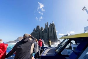 Hobart to Port Arthur: Cape Raoul Wilderness Cruise