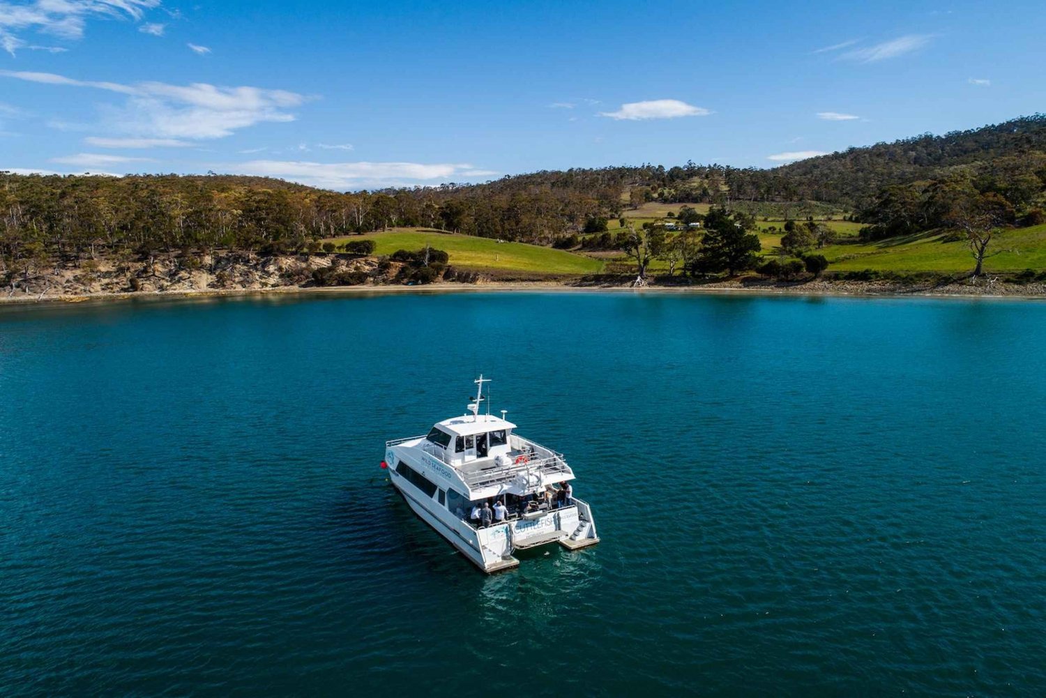 Hobart: Ultimate Seafood Cruise on a Spacious Catamaran