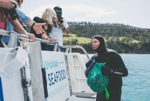 Hobart: Ultimate Seafood Cruise on a Spacious Catamaran