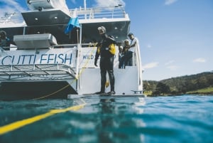 Hobart: Ultimate Seafood Cruise on a Spacious Catamaran