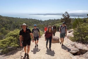 Hobart: Wineglass Bay & Cape Hauy: 2Day Coastal Walking Tour
