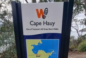 Hobart: Wineglass Bay & Cape Hauy: 2Day Coastal Walking Tour