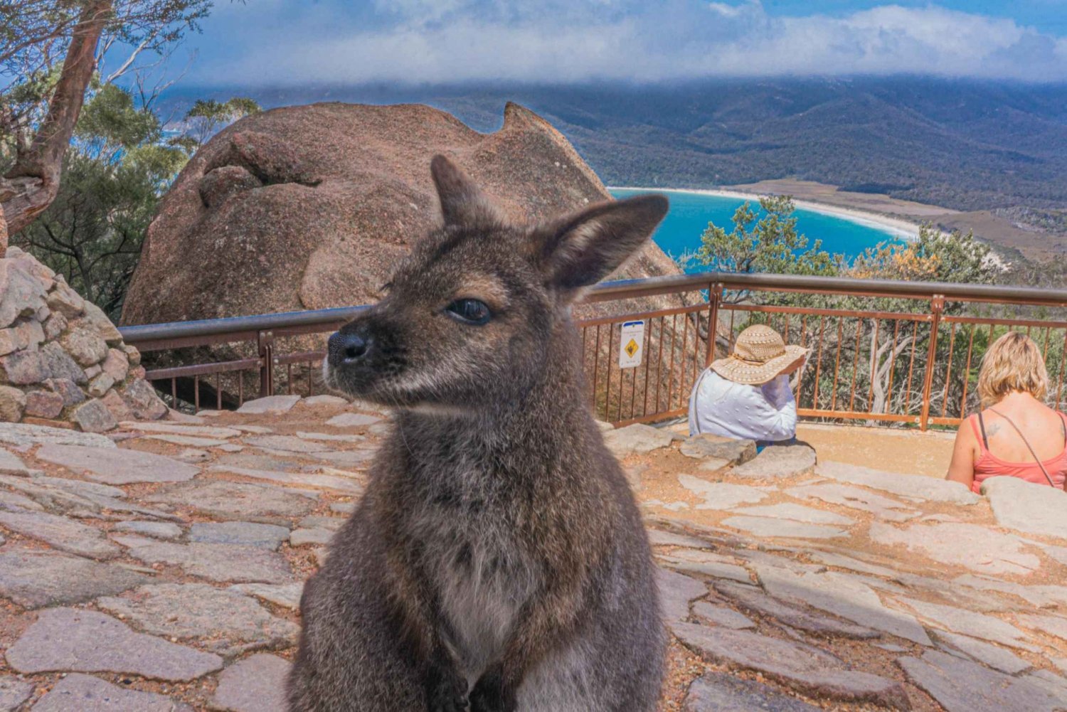 Hobart : Visite de la baie de Wineglass, du parc Freycinet et de Richmond