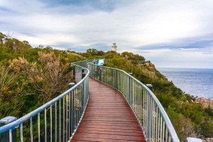 Hobart: Wineglass Bay & Freycinet National Park Via Richmond