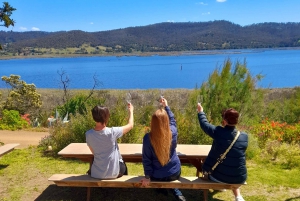 Hobart: Vingård, destilleri og bryggeri - omvisning med smaksprøver