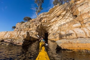 Hobart's Cliffs, Caves and Beaches: 7-Hour Kayak Tour