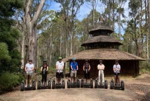 Launceston: Tour en Segway Guiado por el Bosque de Hollybank