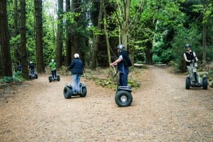 Launceston: Hollybank Forest Guided Segway Tour
