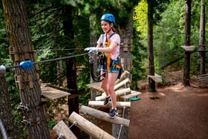 Hollybank Tree Ropes Course