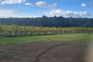 Ruta del Vino y la Sidra del Valle de Huon - Hobart y SE de Tasmania