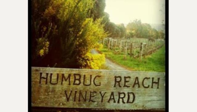Humbug Reach Vineyard