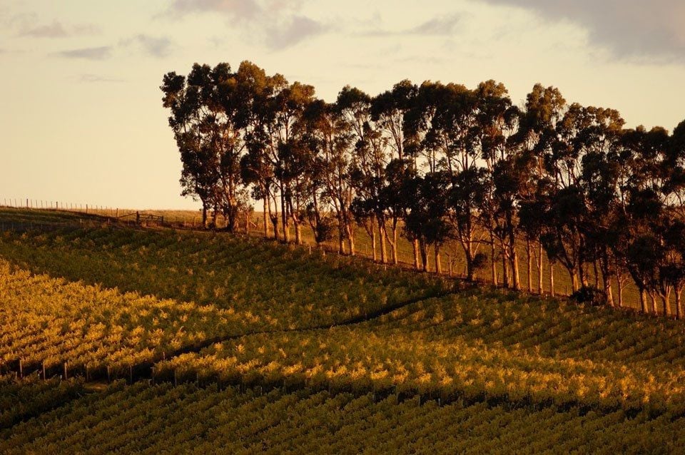 Jansz Tasmania Wine Room and Interpretive Centre