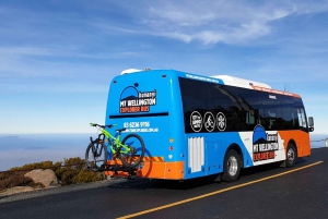 Kunanyi & Mt Wellington Explorer Bus: One-Way Bus Pass