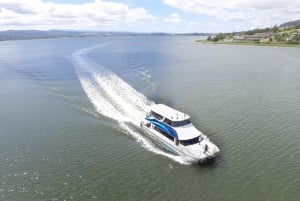 Launceston: 2.5-Hour Morning or Afternoon Discovery Cruise