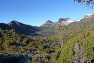 Launceston : excursion de deux jours avec nuitée à Cradle Mountain et Wineglass Bay