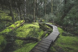 Launceston : excursion de deux jours avec nuitée à Cradle Mountain et Wineglass Bay