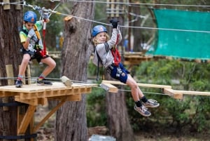 Launceston: Hollybank Junior Tree Ropes Course