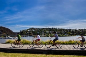 Launceston: River Cycling Tour with Lunch