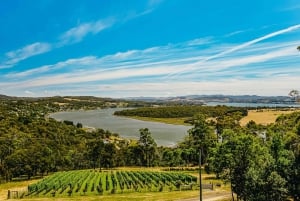 Launceston: Tamar Valley Wine Tour with Lunch and Cheese