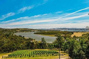 Launceston: Tamar Valley Wine Tour mit Mittagessen