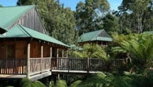 Lemonthyme Lodge Wilmot