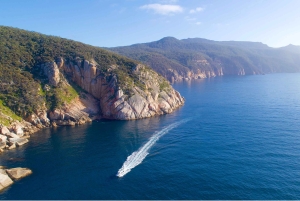 Maria Island 3 hours and 30 mins Scenic Cruise
