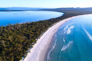 Maria Island 3 hours and 30 mins Scenic Cruise