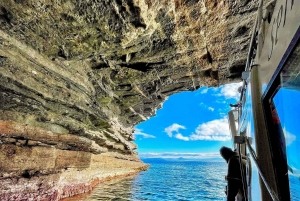 Maria Island 3 hours and 30 mins Scenic Cruise