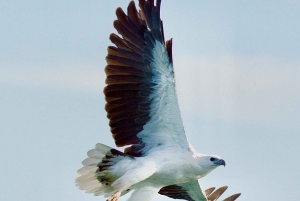Maria Island 3 hours and 30 mins Scenic Cruise