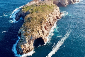 Maria Island 3 hours and 30 mins Scenic Cruise