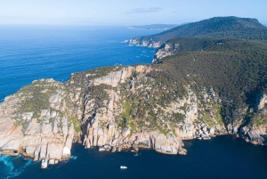 Maria Island 3 hours and 30 mins Scenic Cruise