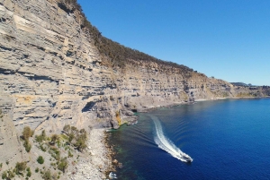 Maria Island 3 hours and 30 mins Scenic Cruise